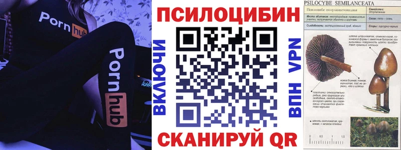 Галлюциногенные грибы GOLDEN TEACHER  Магадан 